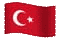 click here for Turkish